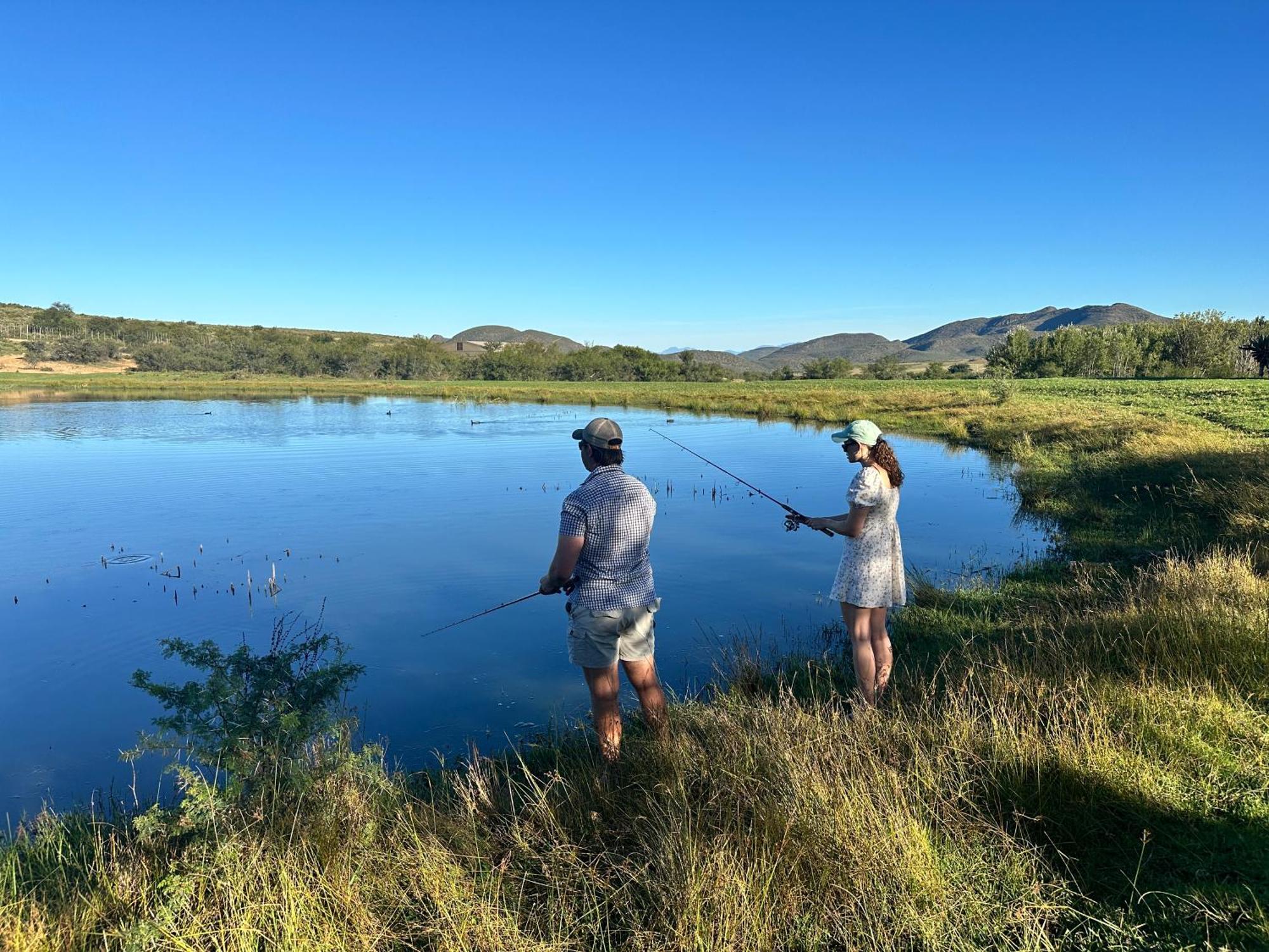 Swartberg Private Game Lodge เอาท์สโฮร์น ภายนอก รูปภาพ
